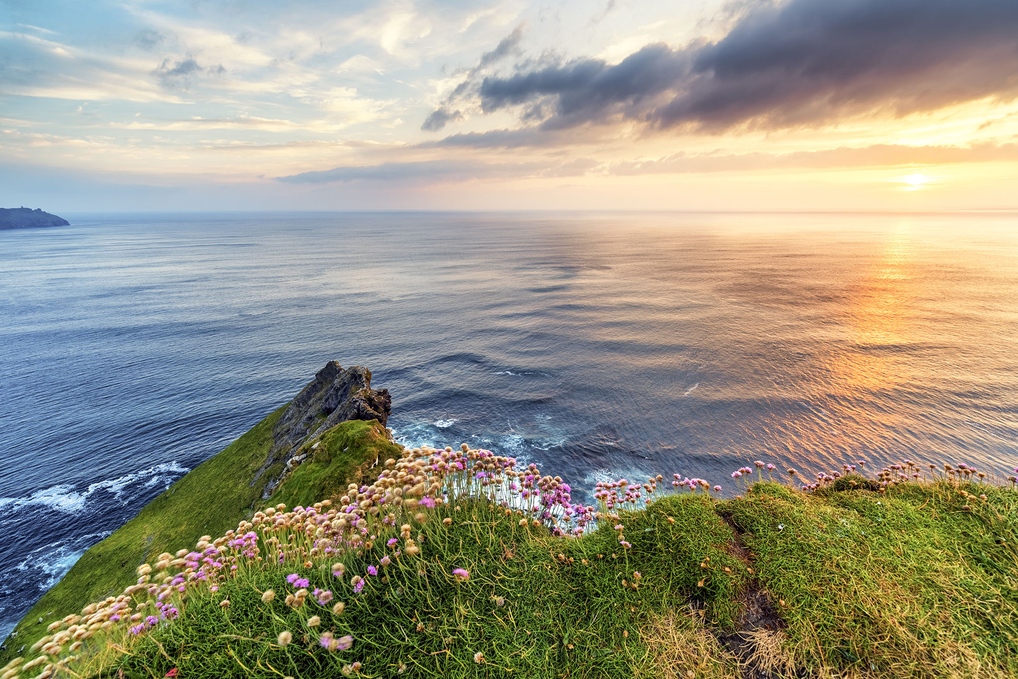 colorful flowers on a high cliff overlooking the sea