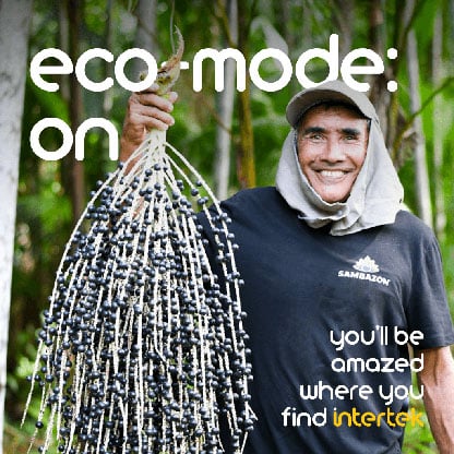 A man wearing a Sambazon t-shirt holding up a a fresh acai plant