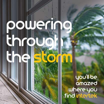 Palm trees are blown by strong winds outside a house window
